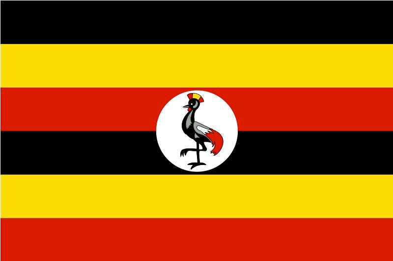 Uganda - Mt Elgon - AA RFA - Washed Process - Modern Espresso