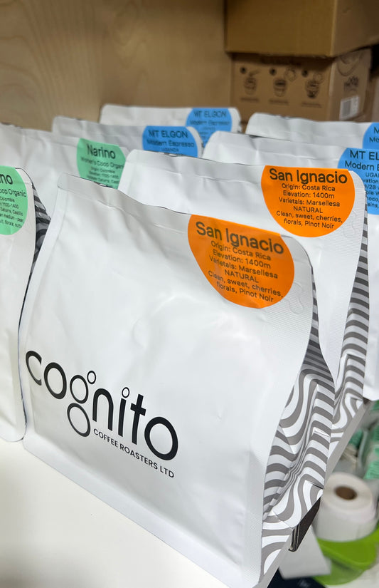 San Ignacio - Costa Rica - Natural (SOLD OUT)