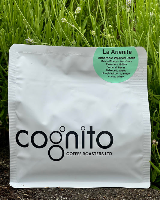 La Arianita - Kelvin Pinedas - Anaerobic Washed Pacas