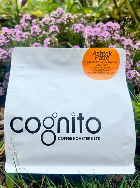Ashtok Patre - Ratnagiri, India - Anaerobic Honey Processed Catuai