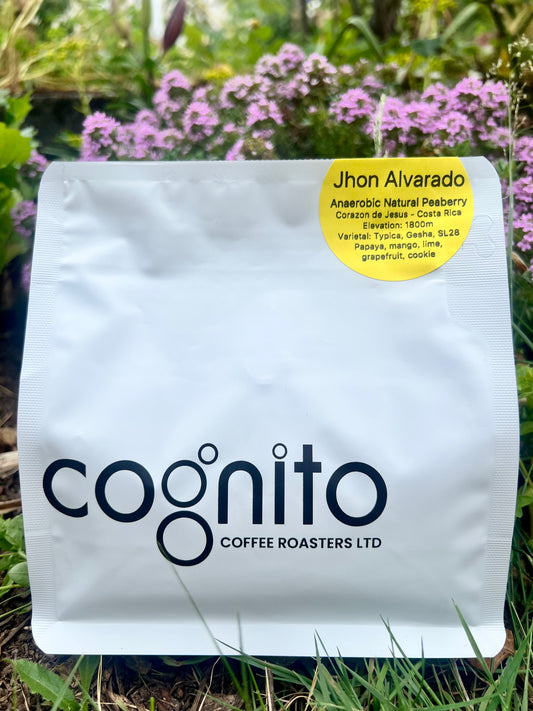 Jhon Alvarado - Corazon de Jesus - Anaerobic Natural Peaberry - Costa Rica