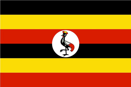 Uganda - Mt Elgon - AA RFA - Washed Process - Modern Espresso