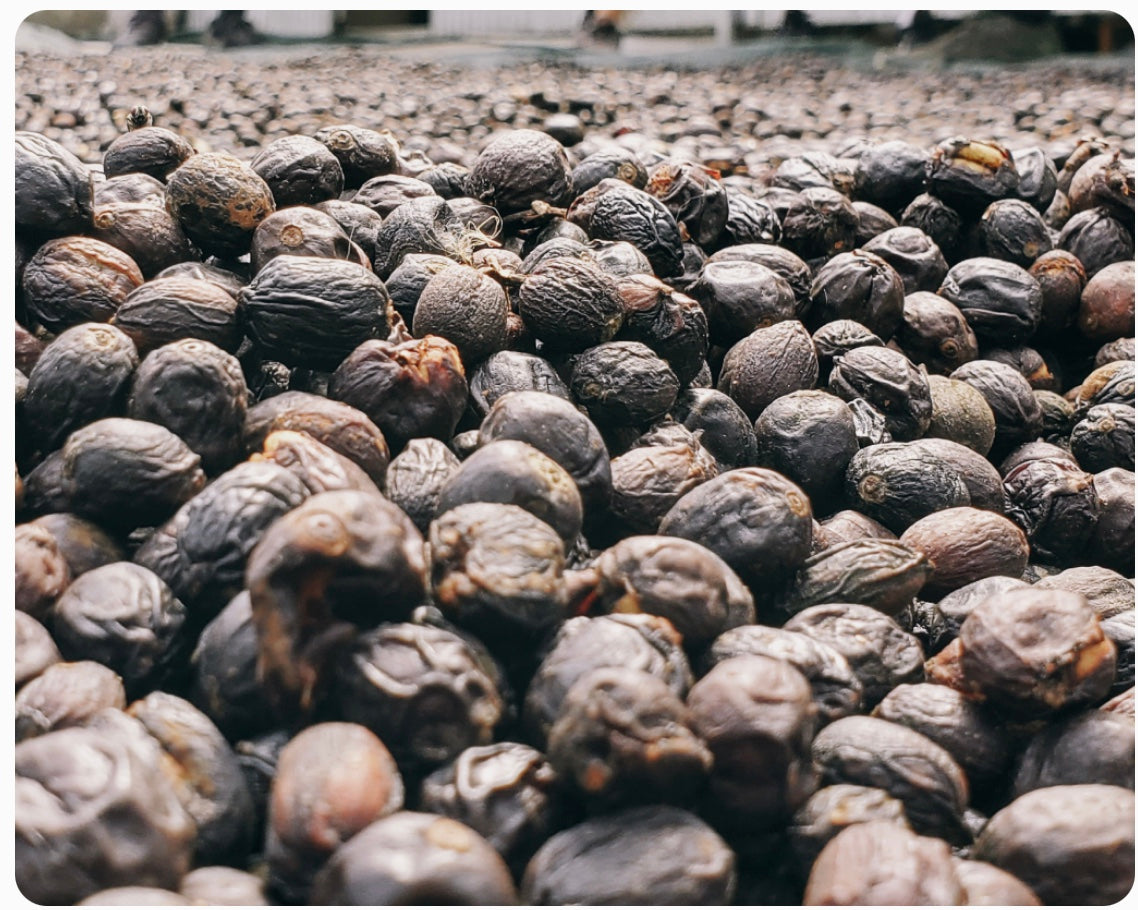 Jhon Alvarado - Corazon de Jesus - Anaerobic Natural Peaberry - Costa Rica